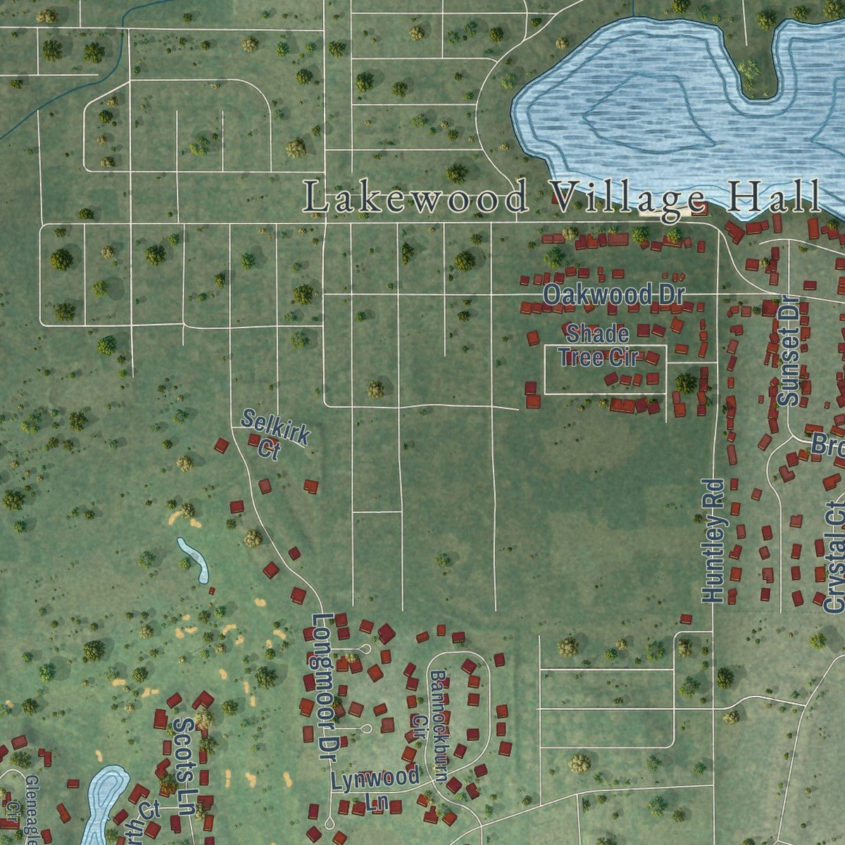 Close-up of the map of Lakewood, Illinois print showing street and building detail