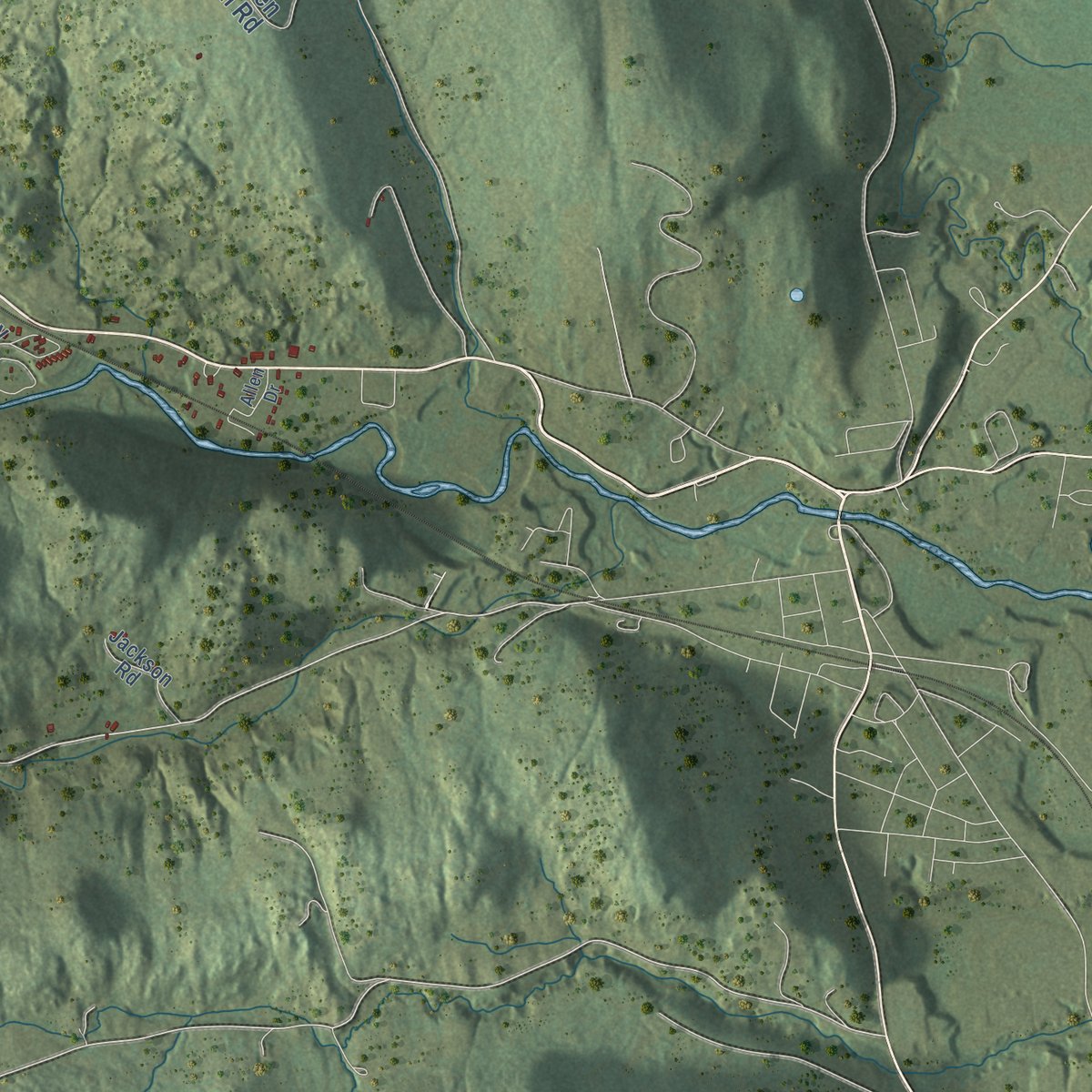 Close-up of the map of Braintree, Vermont print showing street and building detail