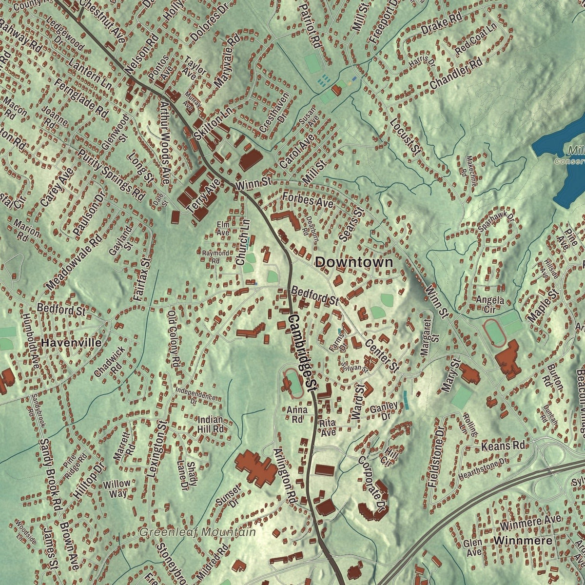 Close-up of the map of Burlington, Massachusetts print showing streets and neighborhoods