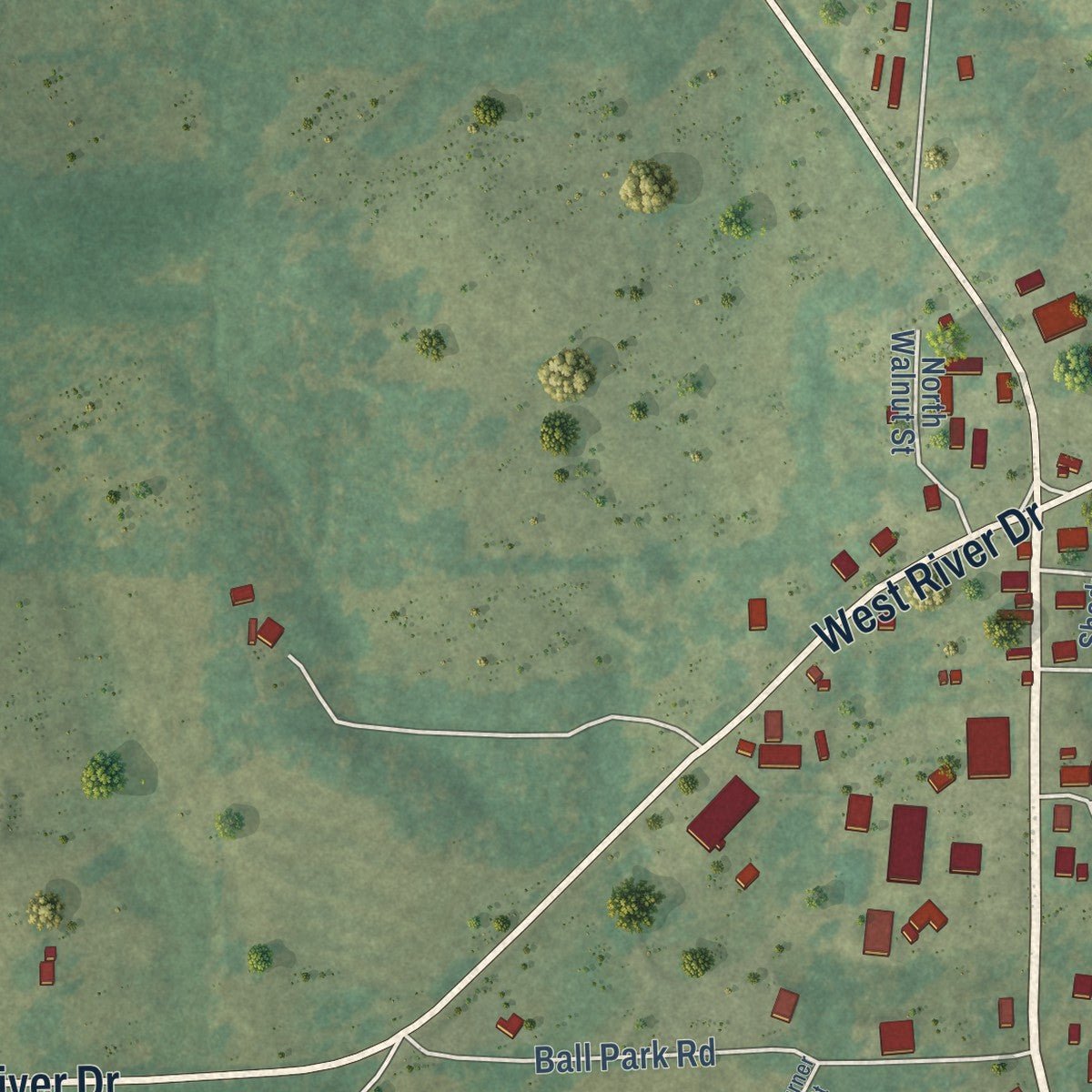 Close-up of the map of Strawberry, Arkansas print showing street and building detail