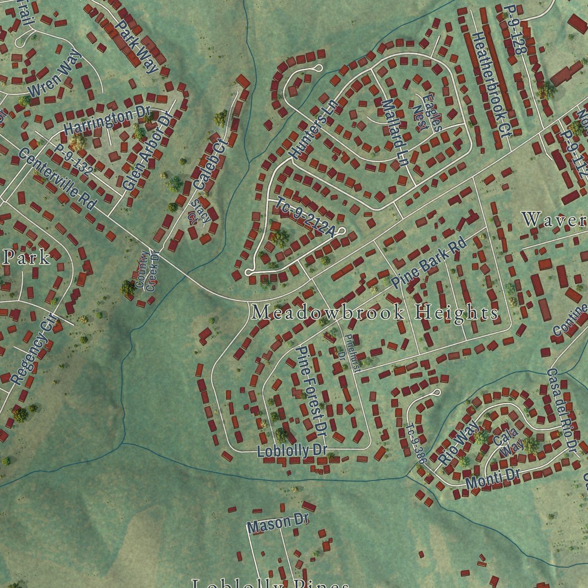 Close-up of the map of Centerville, South Carolina print showing street and building detail