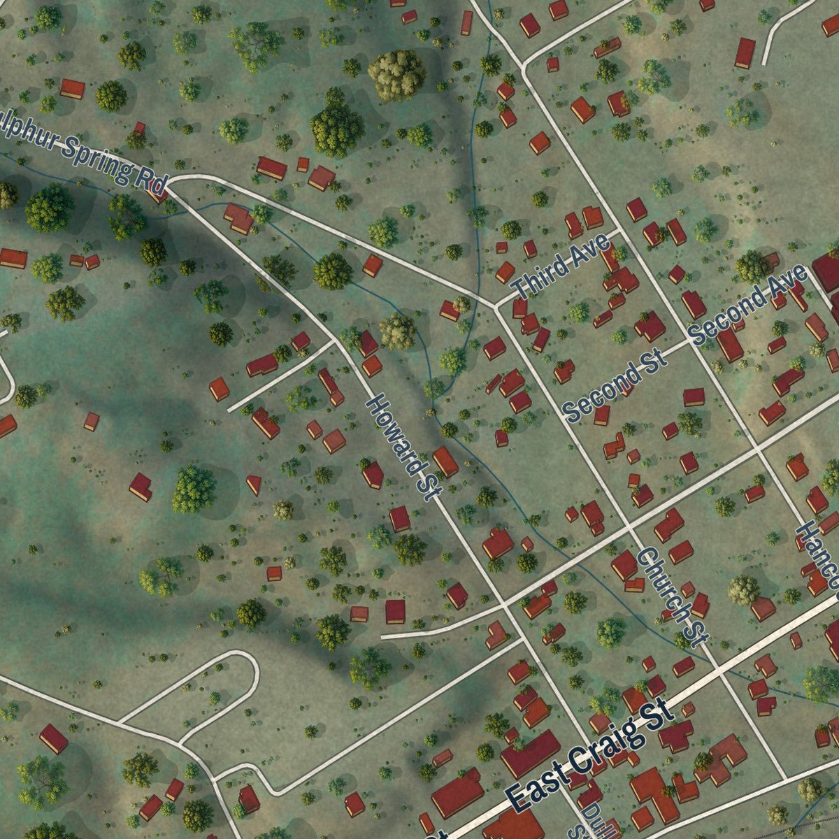 Close-up of the map of Craigsville, Virginia print showing street and building detail