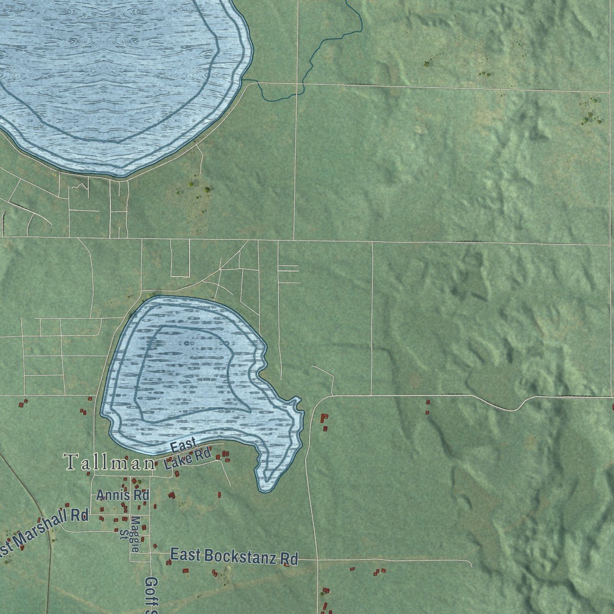 Close-up of the map of Branch, Michigan print showing street and building detail