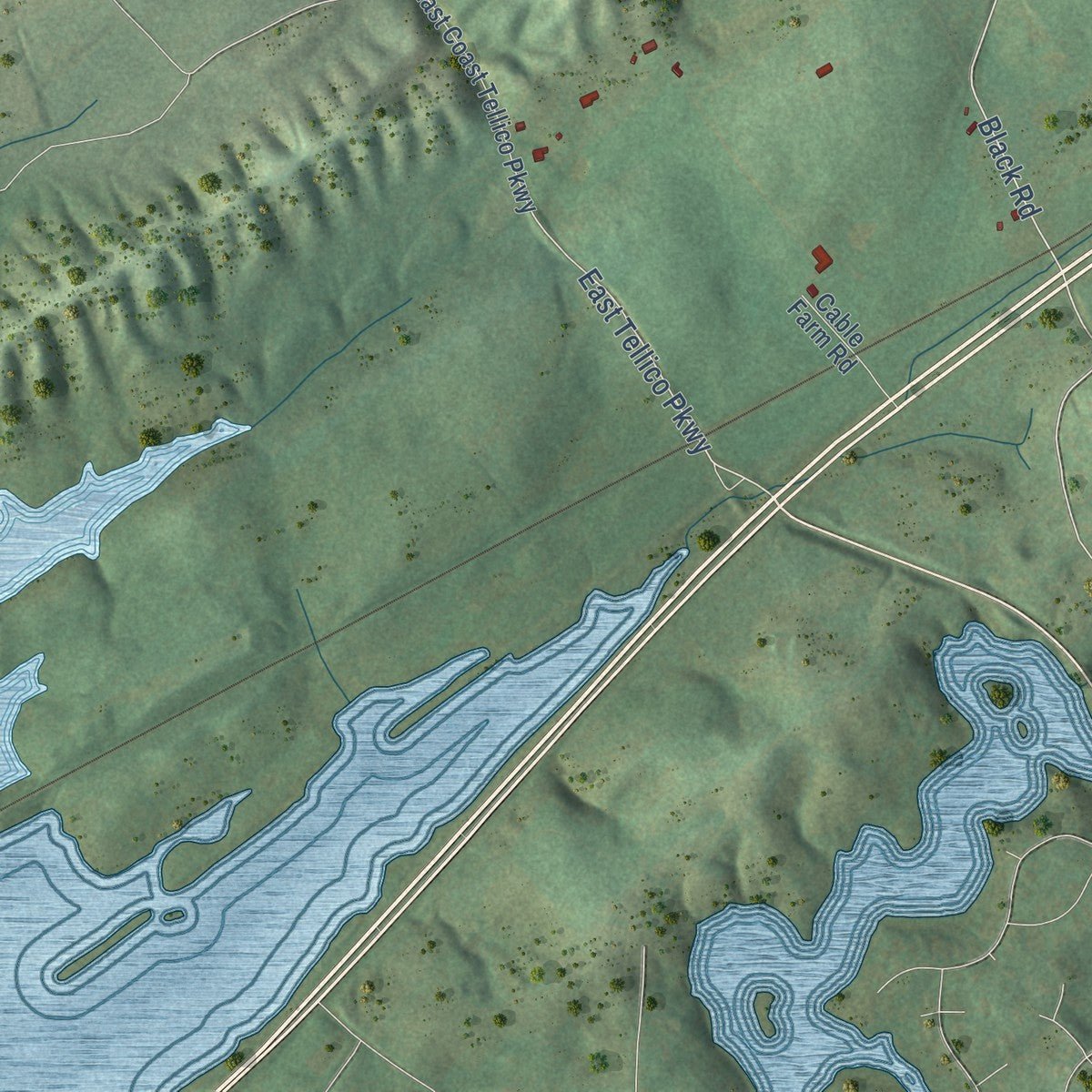 Close-up of the map of Greenback, Tennessee print showing street and building detail