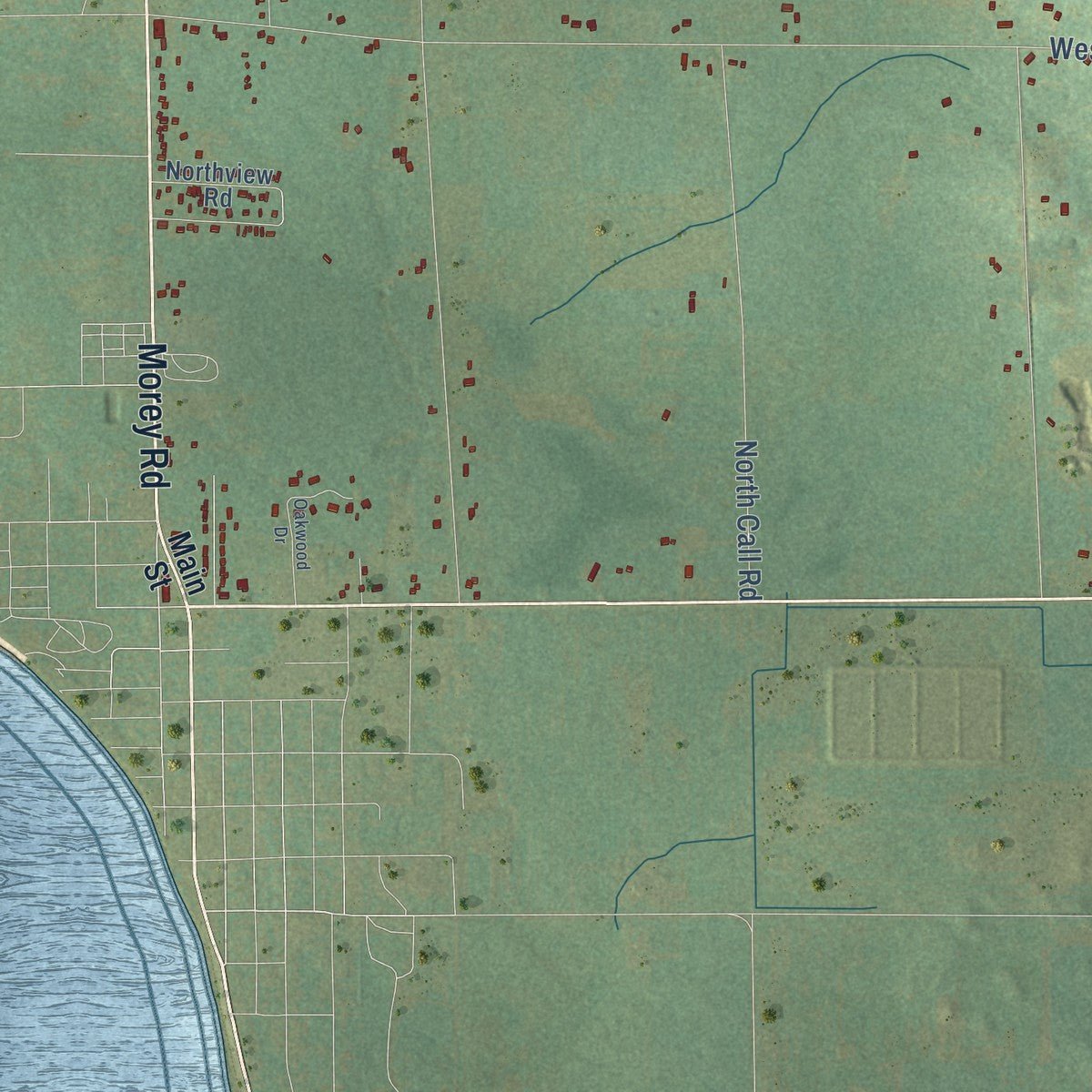 Close-up of the map of Forest, Missaukee County, Michigan print showing street and building detail