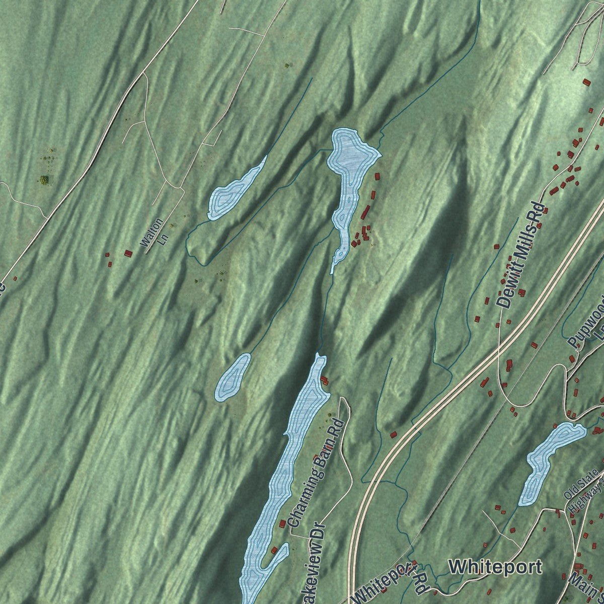 Close-up of the map of Rosendale, New York print showing street and building detail