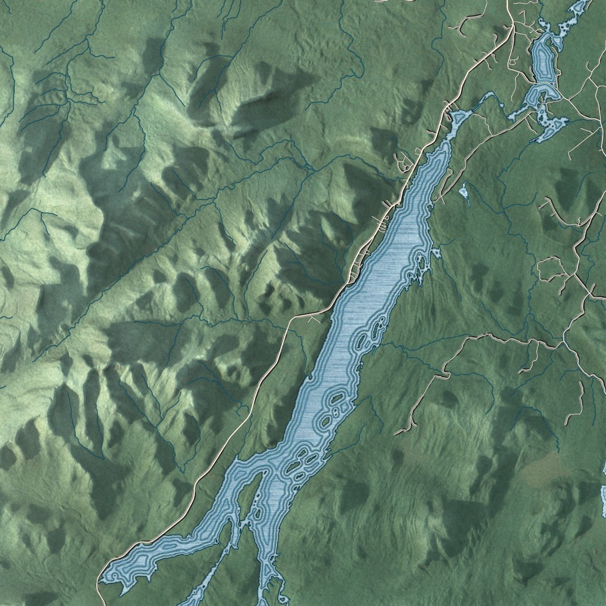 Close-up of the map of Long Lake, New York print showing street and building detail