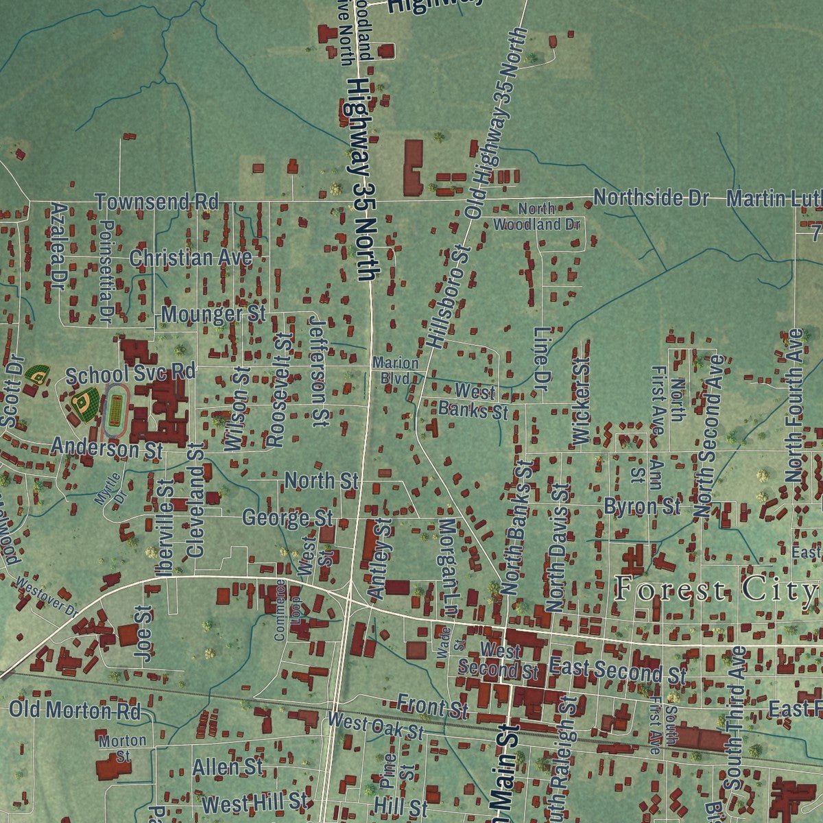 Close-up of the map of Forest, Mississippi print showing street and building detail