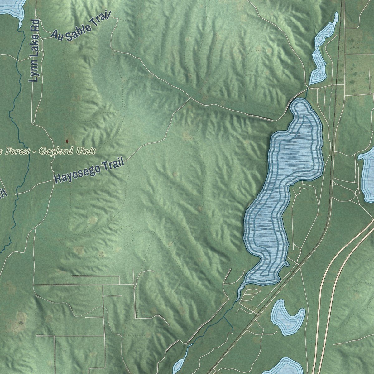 Close-up of the map of Hayes, Otsego County, Michigan print showing street and building detail