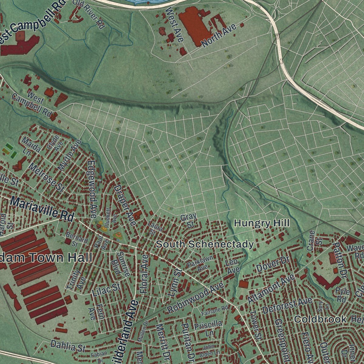 Close-up of the map of Rotterdam, New York print showing street and building detail