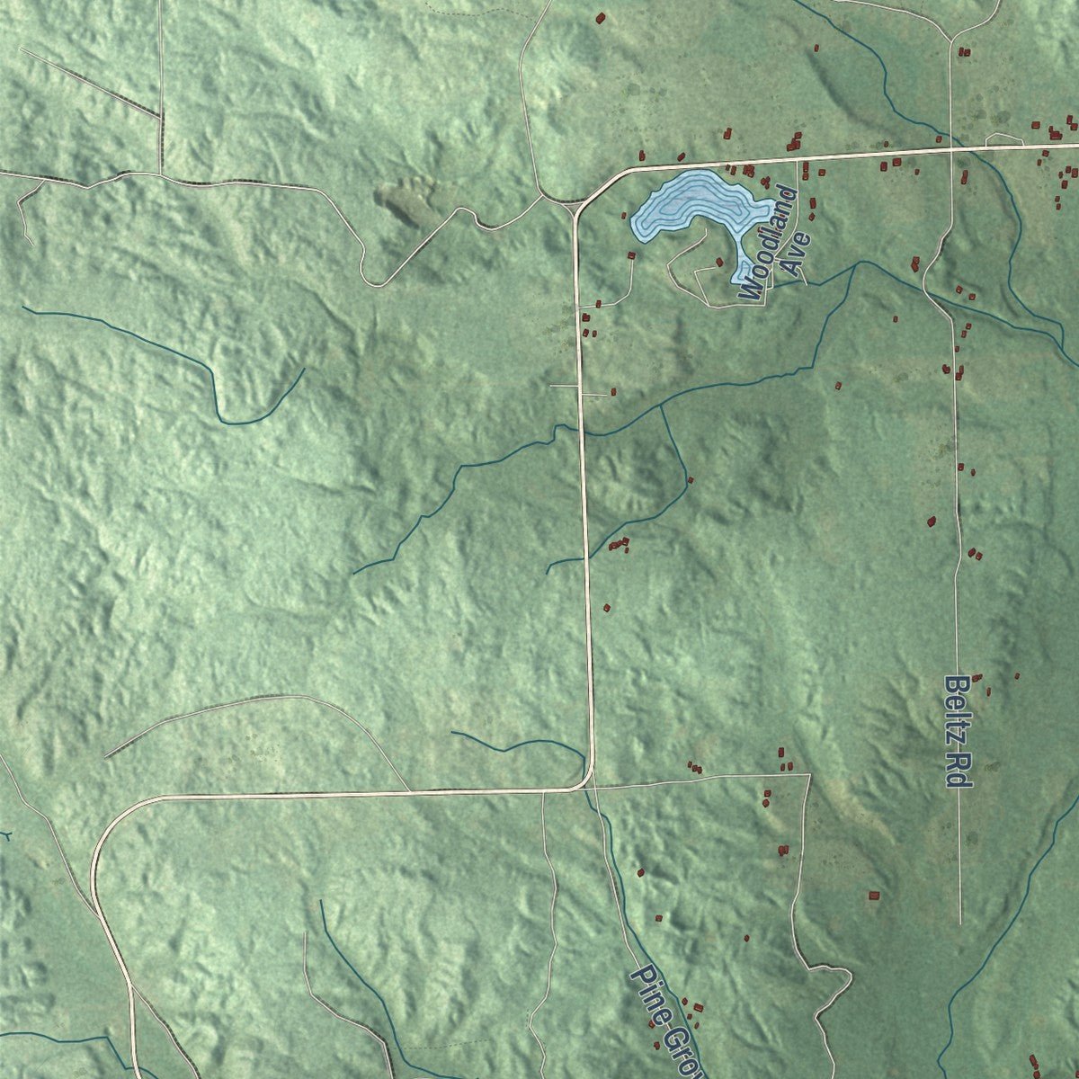 Close-up of the map of Briley, Michigan print showing street and building detail