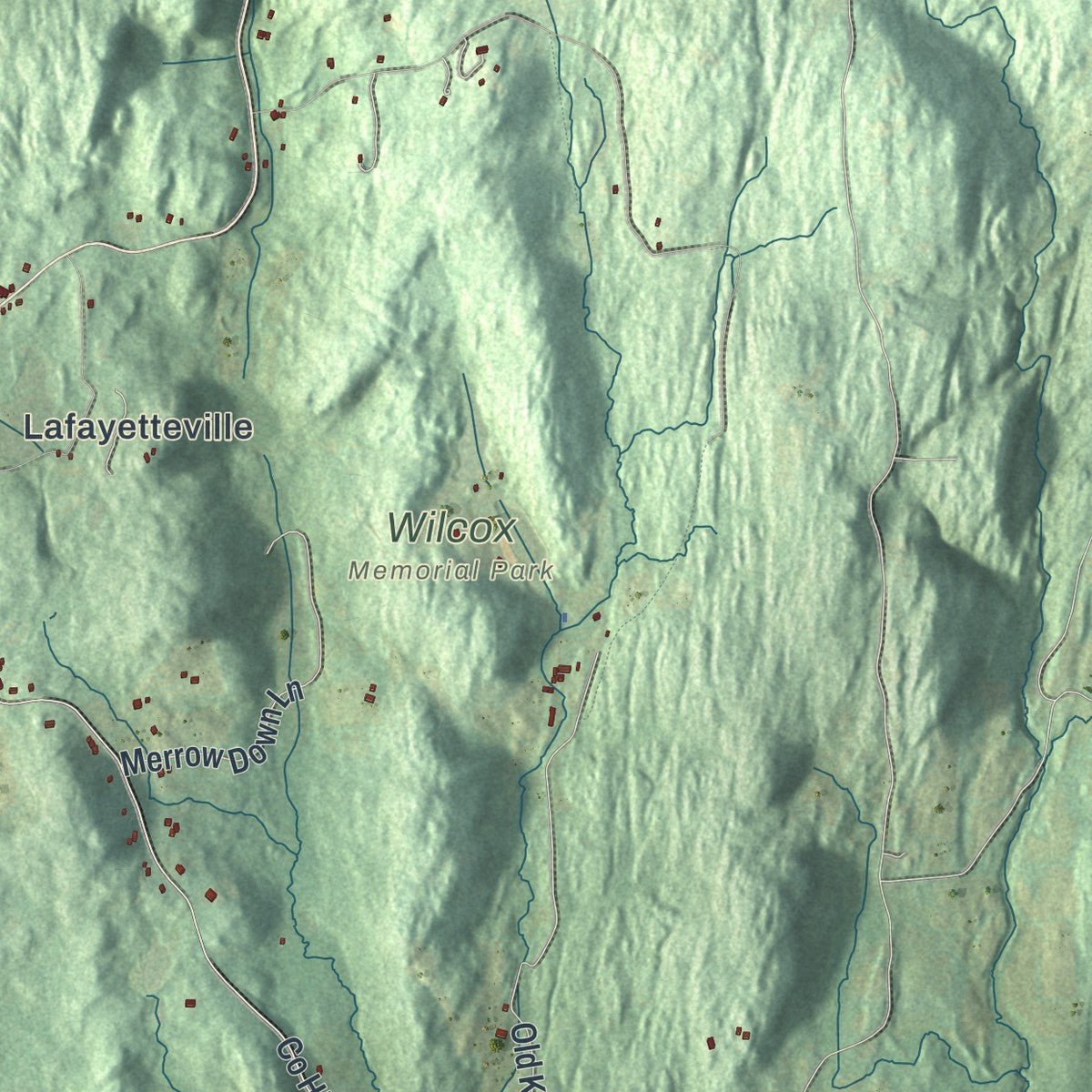 Close-up of the map of Milan, New York print showing street and building detail