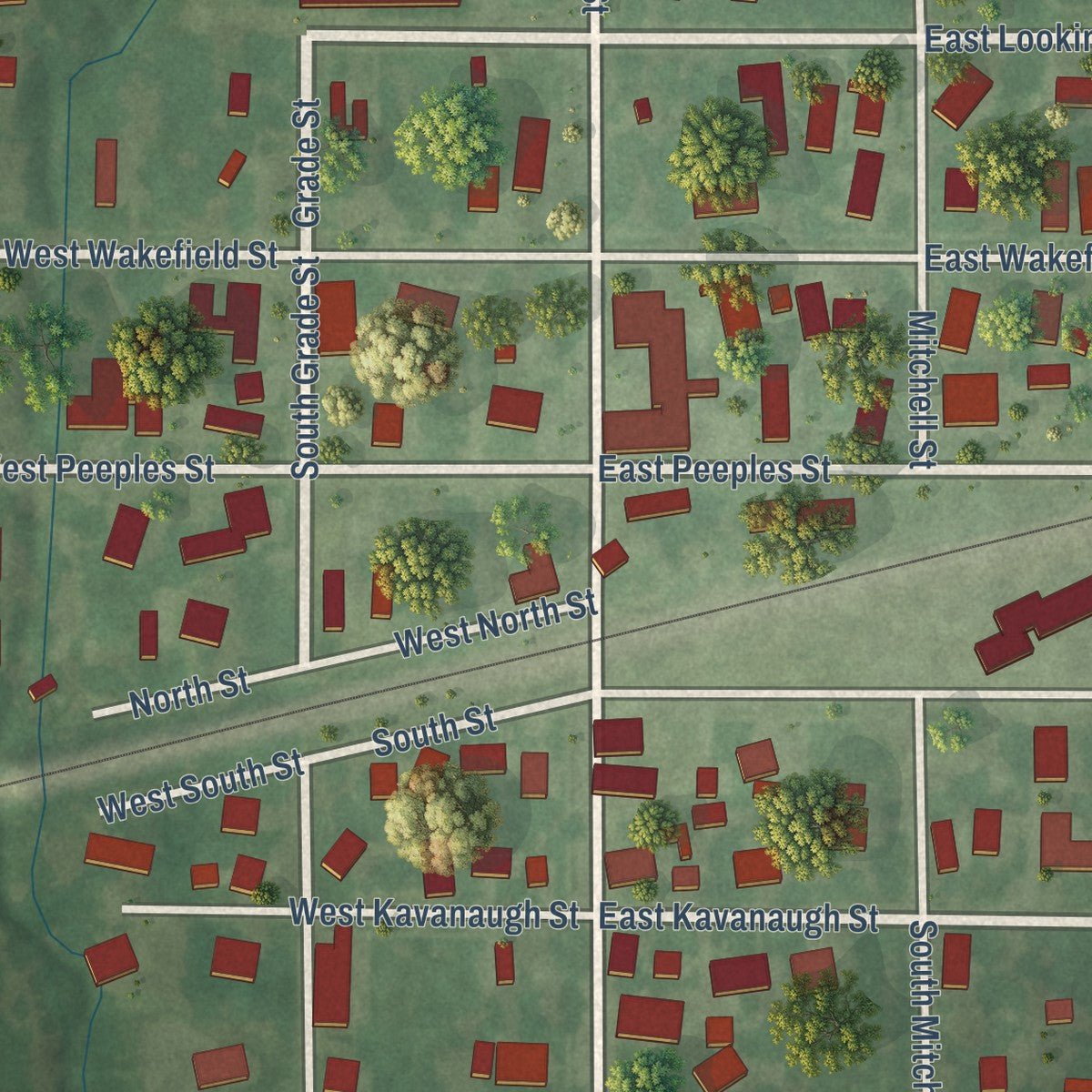Close-up of the map of Summerfield, Illinois print showing street and building detail