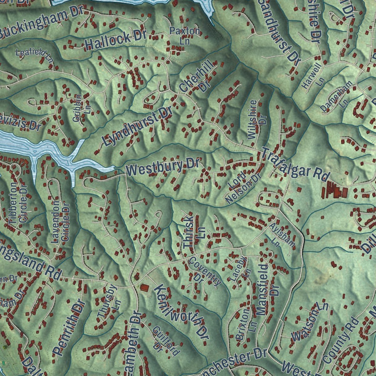 Close-up of the map of Bella Vista, Arkansas print showing street and building detail