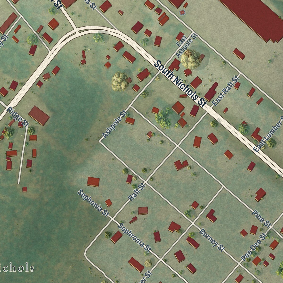Close-up of the map of Nichols, South Carolina print showing street and building detail