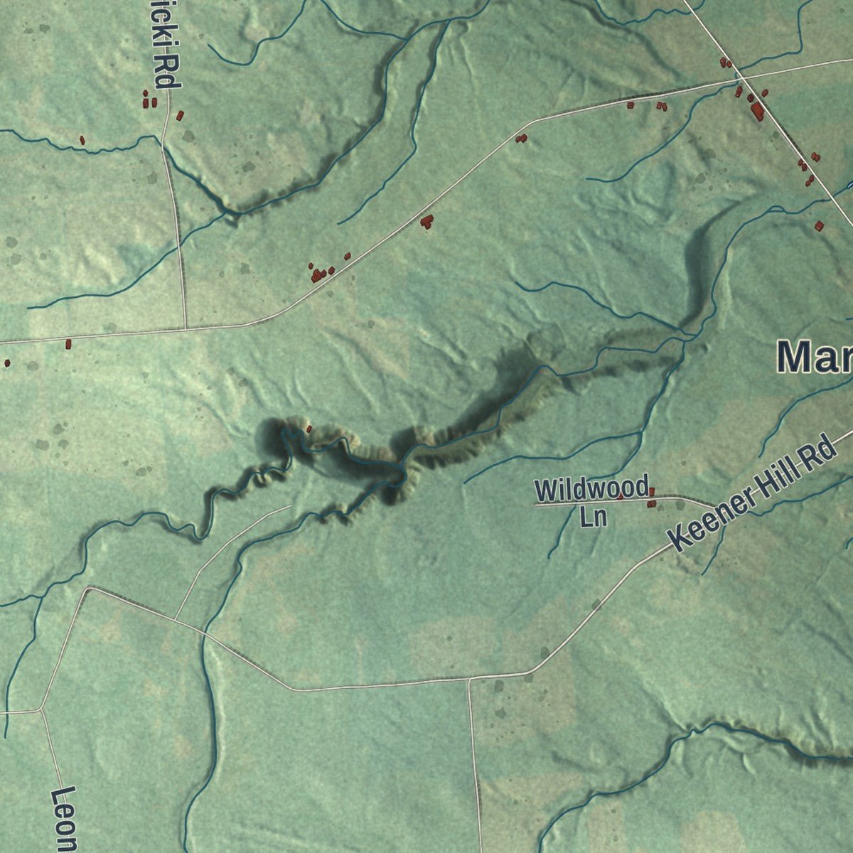 Close-up of the map of Martinsburg, New York print showing street and building detail