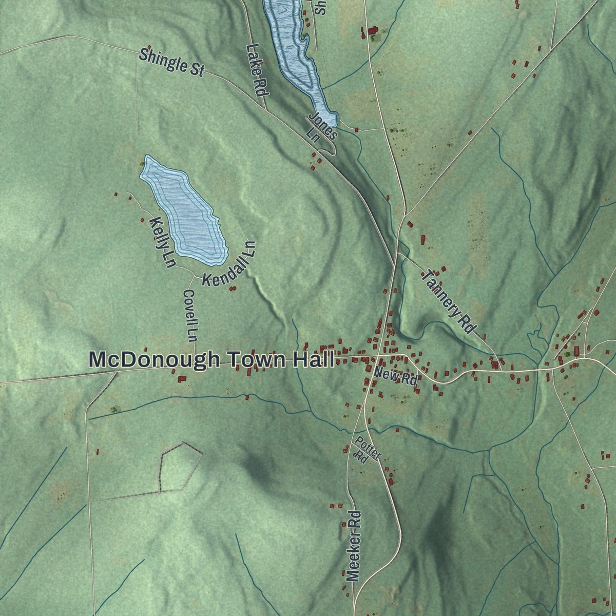 Close-up of the map of McDonough, New York print showing street and building detail