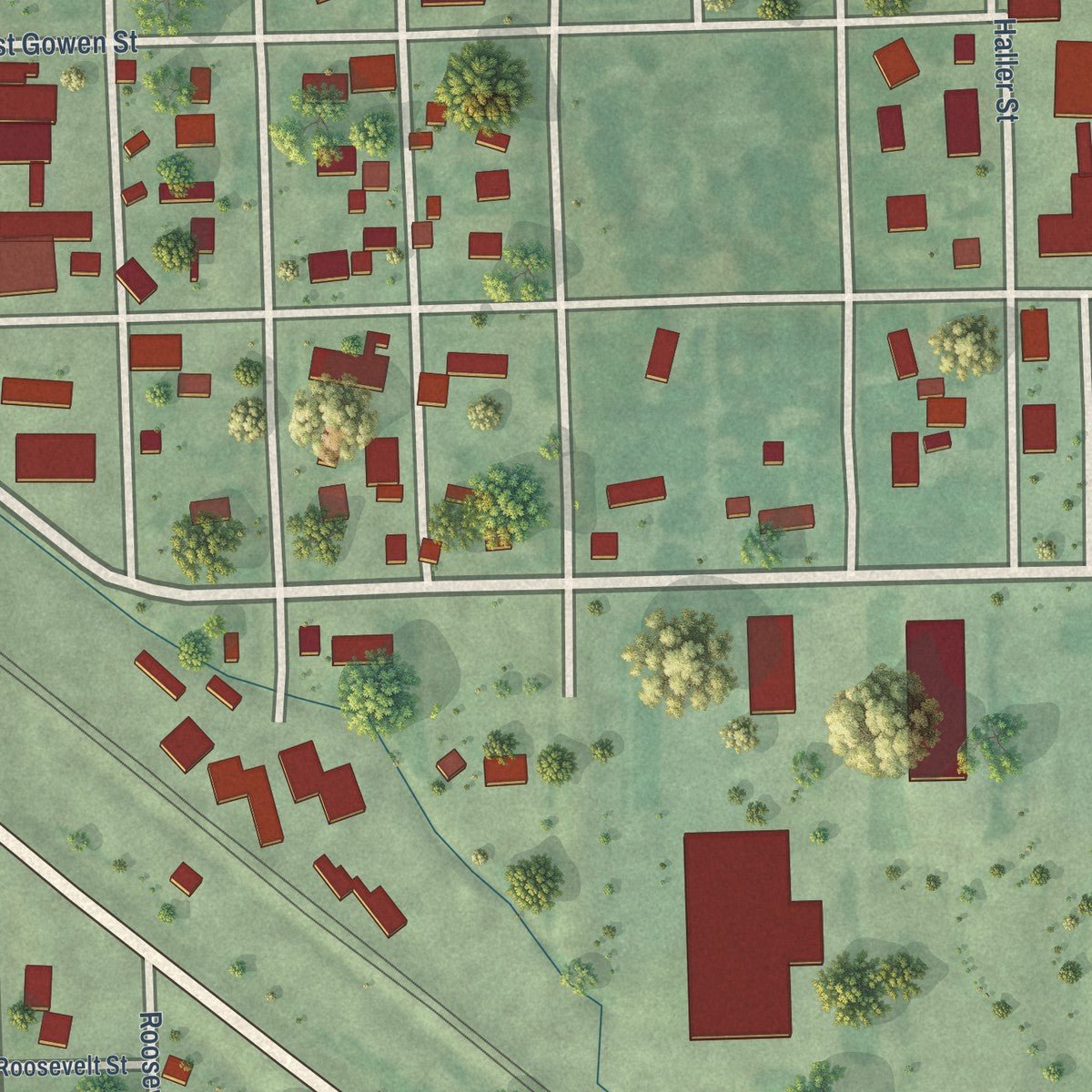 Close-up of the map of Litchfield, Nebraska print showing street and building detail