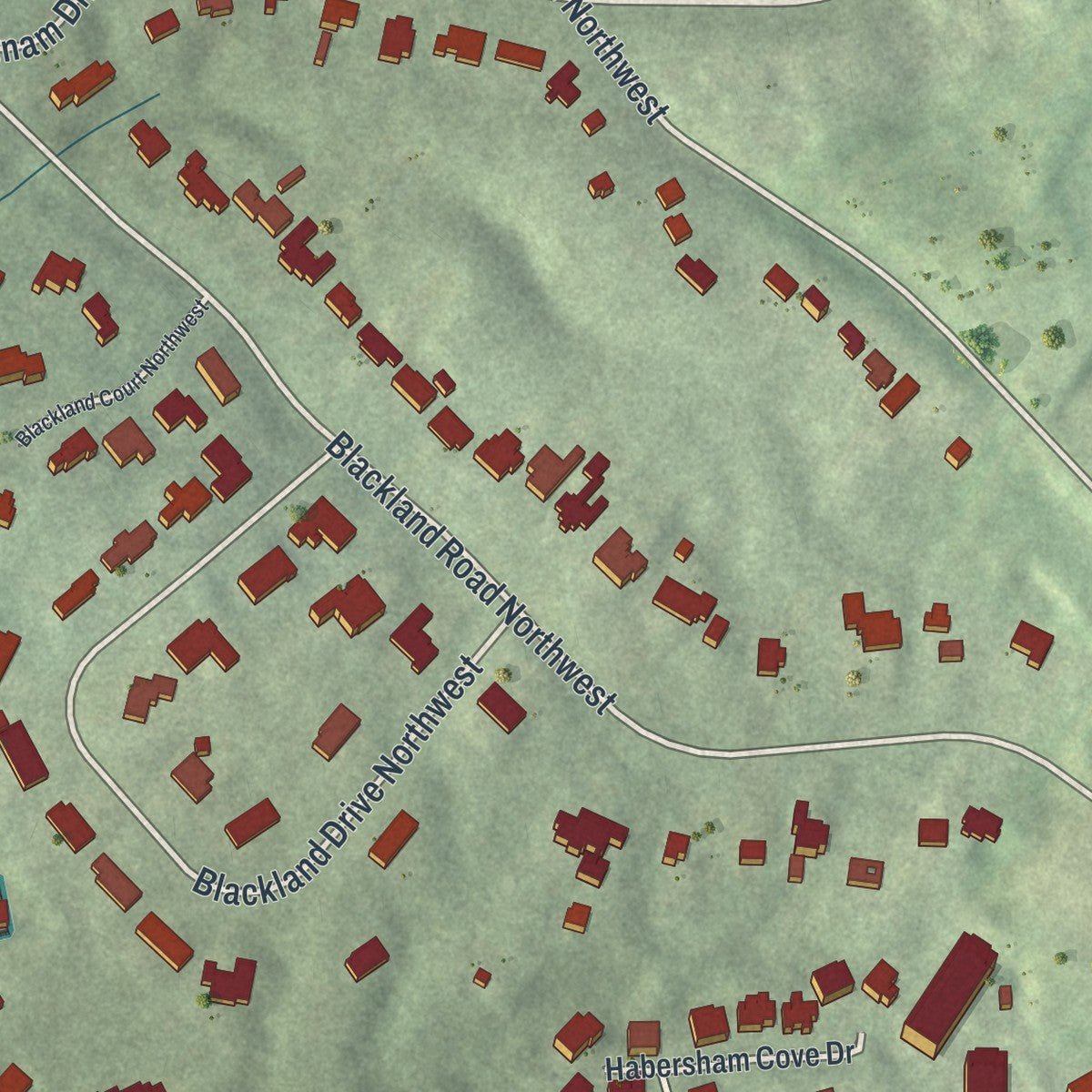 Close-up of the map of Tuxedo Park, Georgia print showing street and building detail