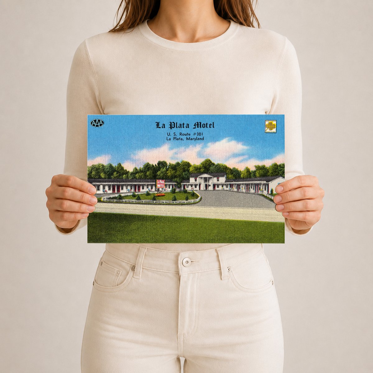 La Plata Motel, U. S. Route #301, La Plata, Maryland — Vintage Maryland Postcard