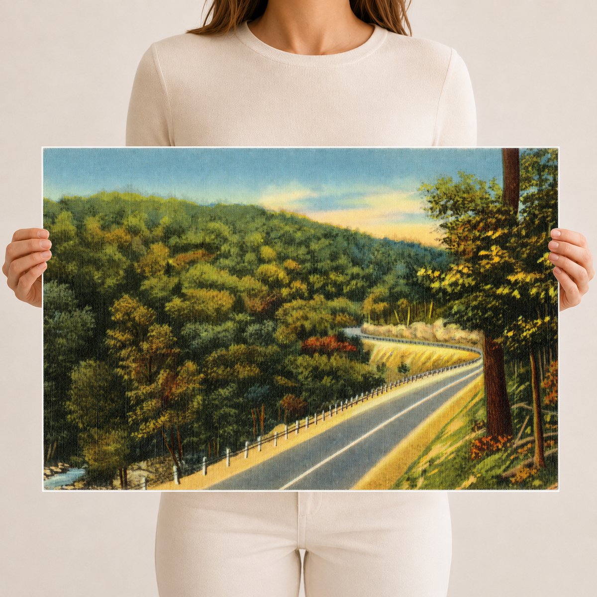 Road winding through forest — Vintage Maryland Postcard