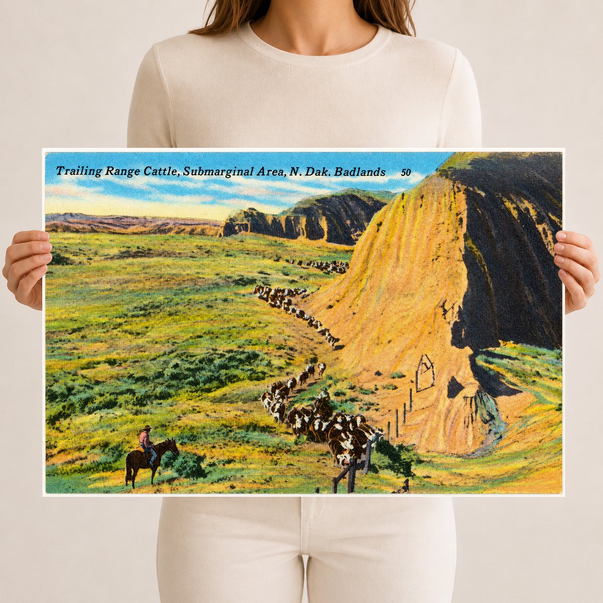 Little Badlands, ND: Trailing range cattle, submarginal area, N. Dak. Badlands