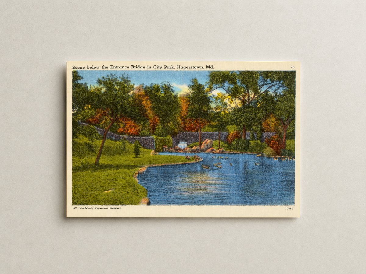 Scene below the Entrance Bridge in City Park, Hagerstown, MD — Vintage Maryland Postcard