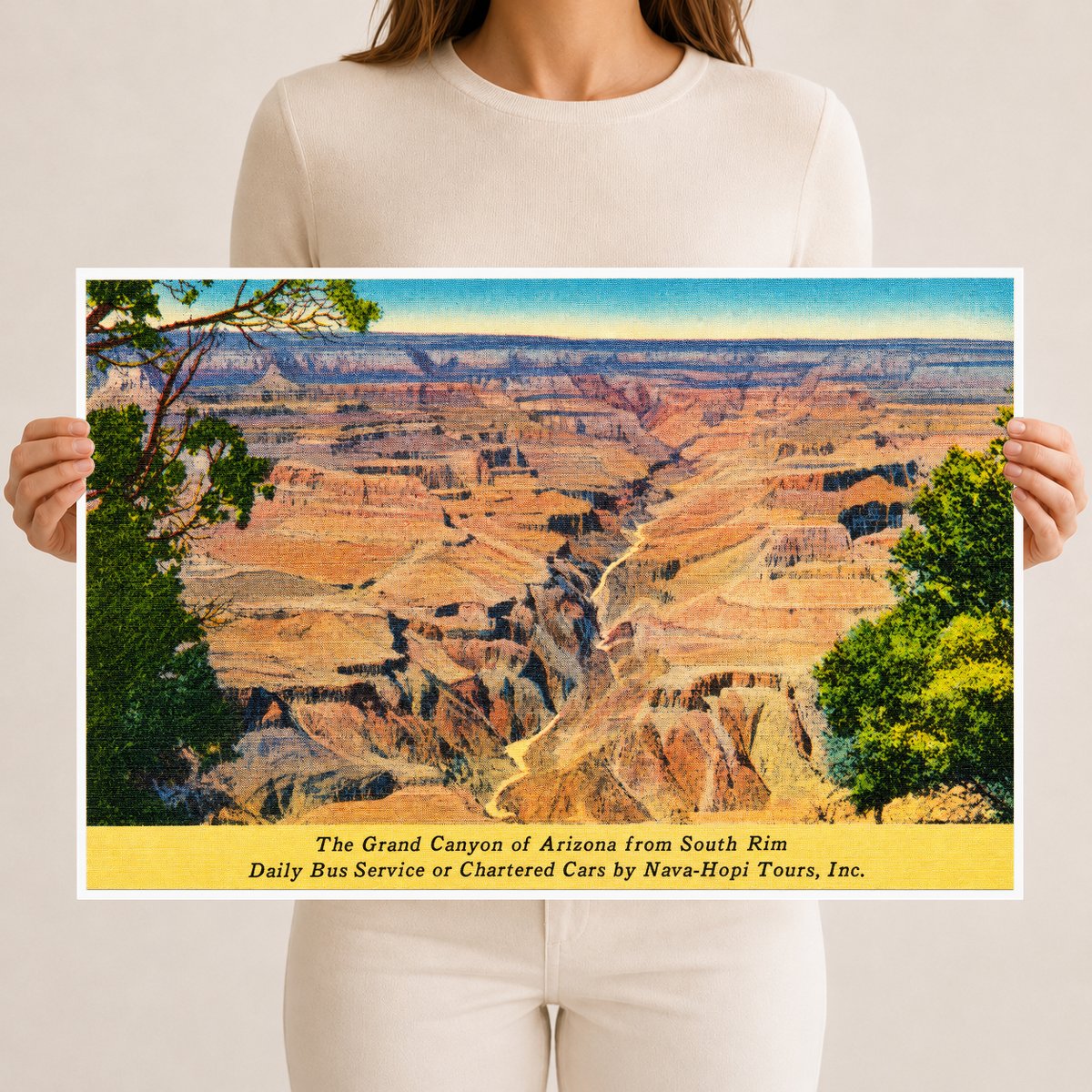 Grand Canyon, AZ: The Grand Canyon of Arizona from South Rim, daily bus service or chartered cars by Nava-Hopi Tours, Inc.