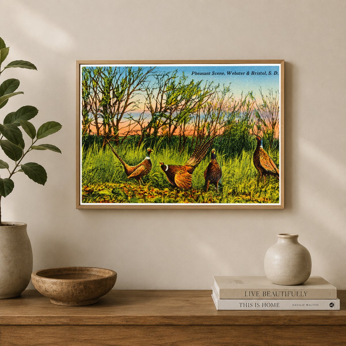 Bristol, SD: Pheasant Scene, Webster & Bristol