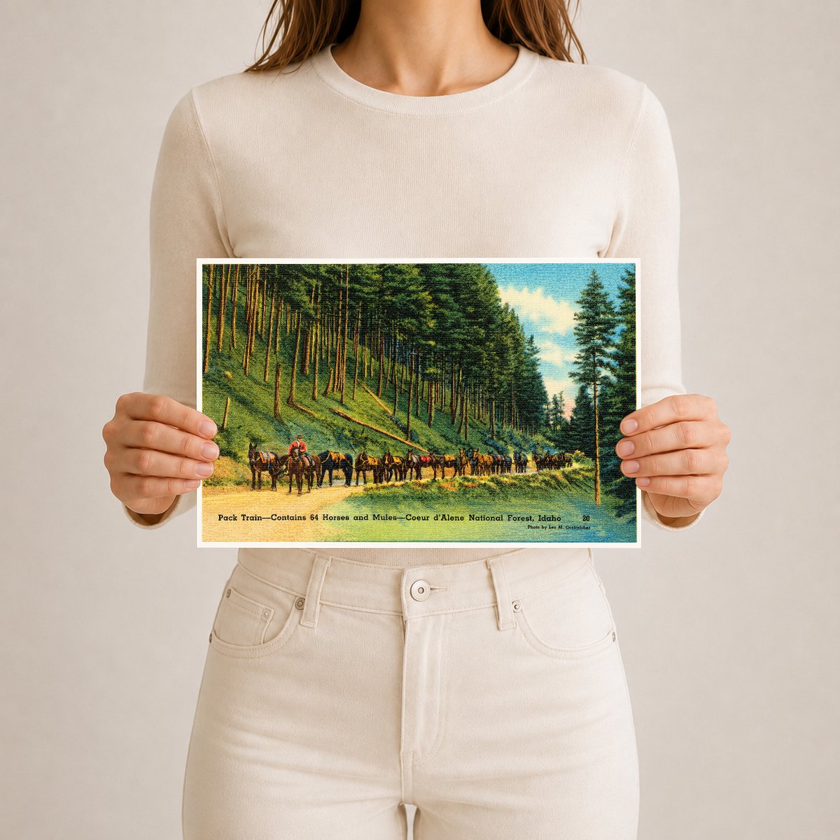 Coeur d'Alene National Forest, ID: Pack train- contains 64 horses and mules- Coeur d'Alene National Forest