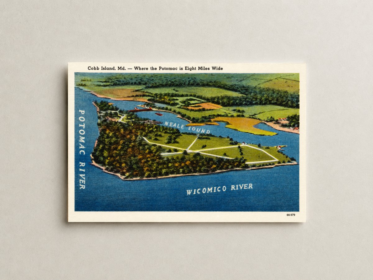 Cobb Island, MD -- where the Potomac is eight miles wide — Vintage Maryland Postcard