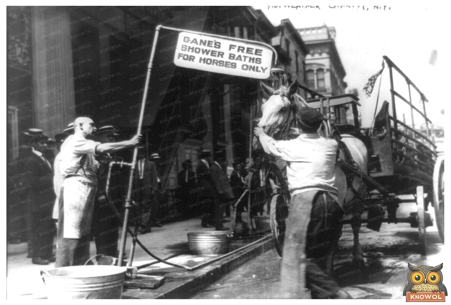 1911 New York Charity Event for Heatwave Relief