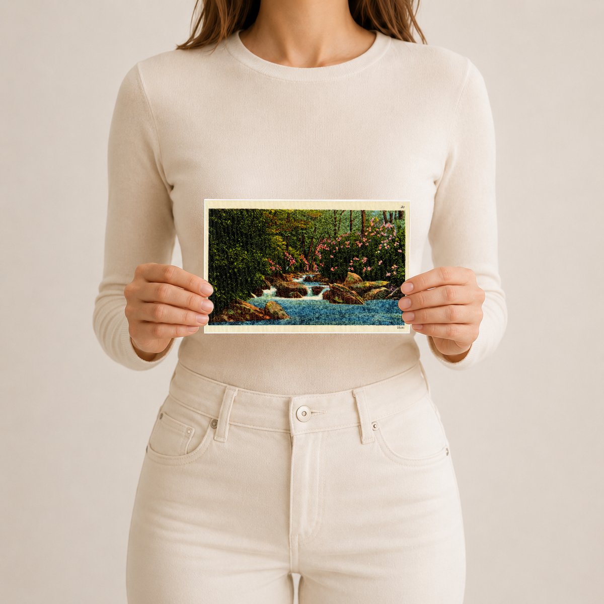 A mountain trout stream near Hagerstown, MD — Vintage Maryland Postcard