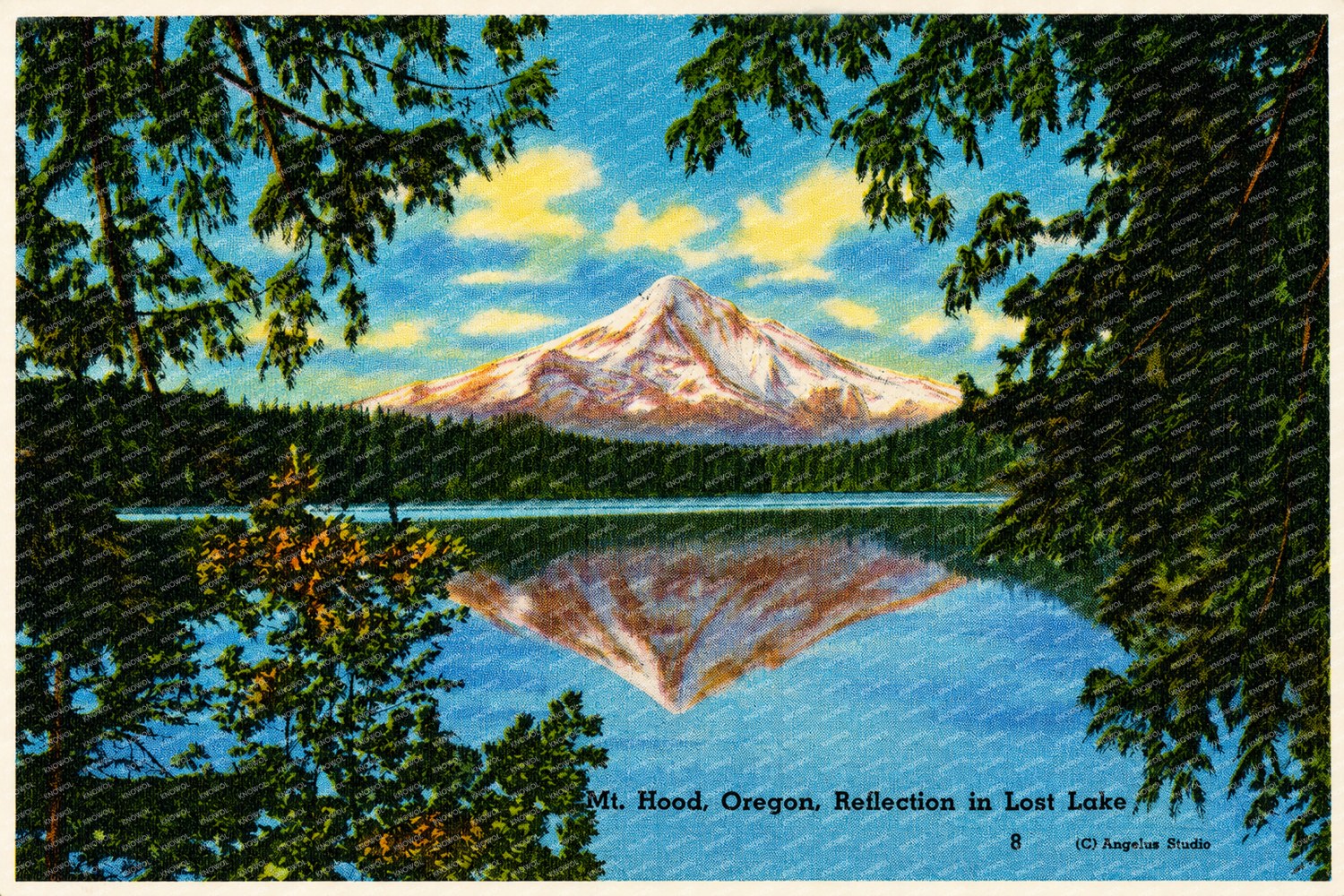 Hood, Mount, OR: Mt. Hood, Oregon, reflection in Lost Lake