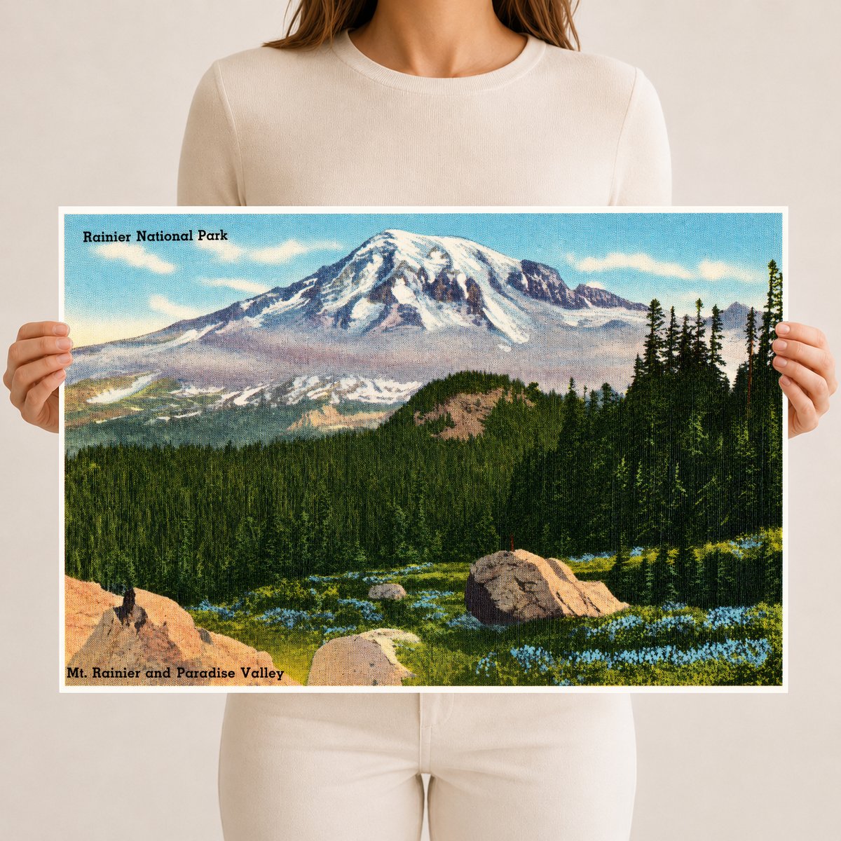 Mount Rainier National Park, WA: Rainier National Park, Mt. Rainier and Paradise Valley