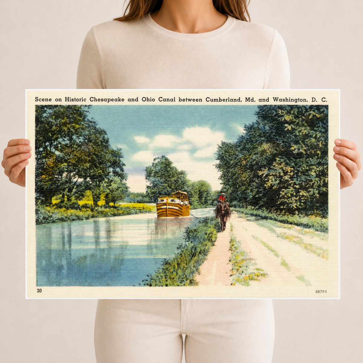 Scene on Historic Chesapeake and Ohio Canal between Cumberland, MD and Washington, D. C. — Vintage Maryland Postcard