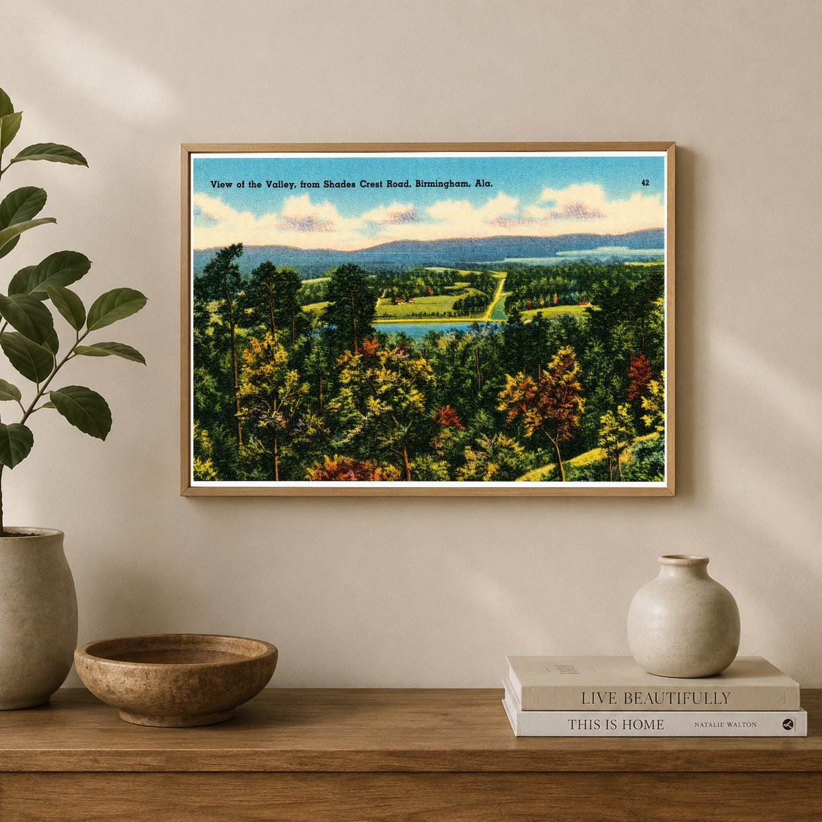 Birmingham, AL: View of the Valley, from Shades Crest Road