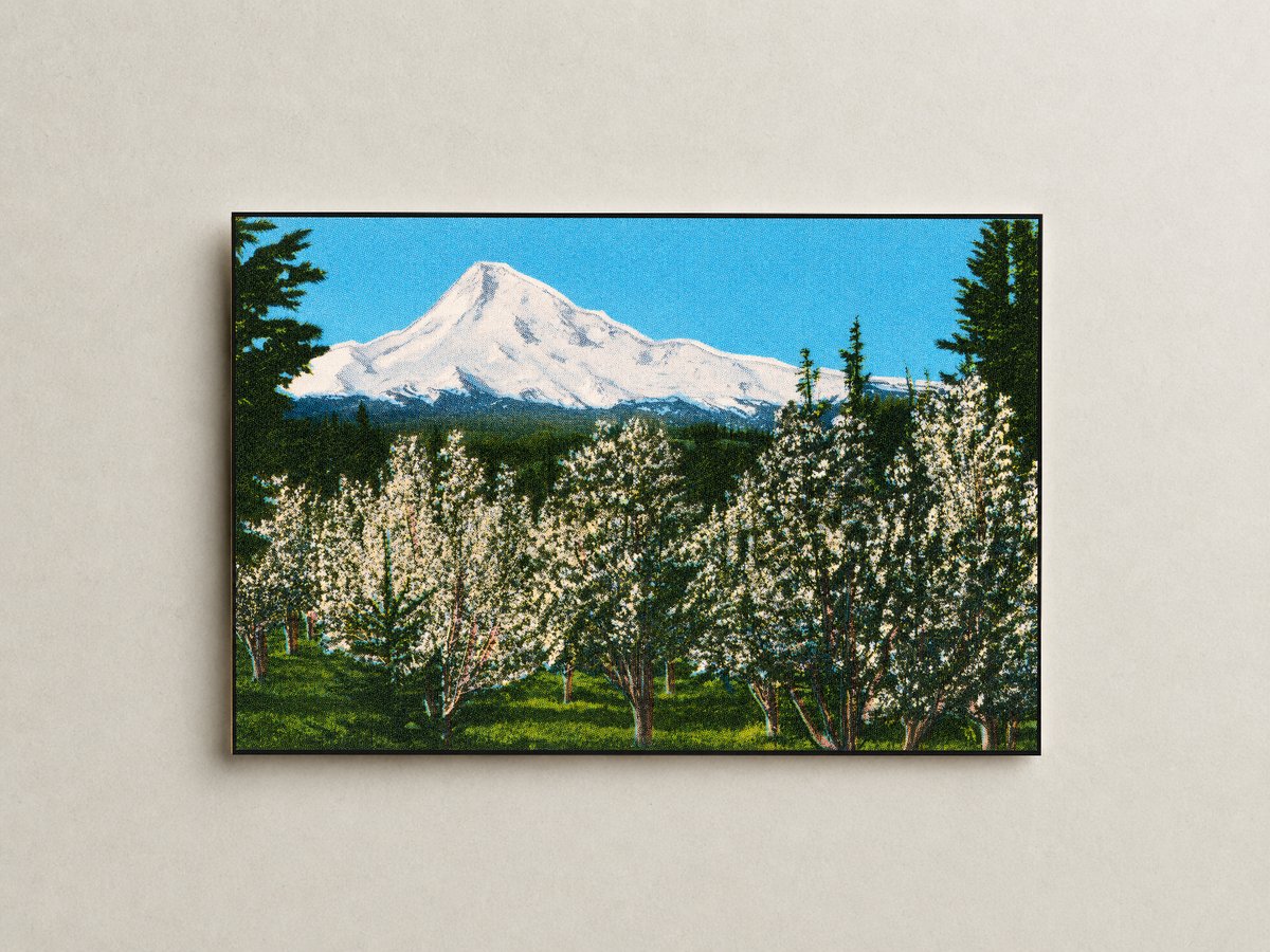 Hood, Mount, OR: Mount Hood