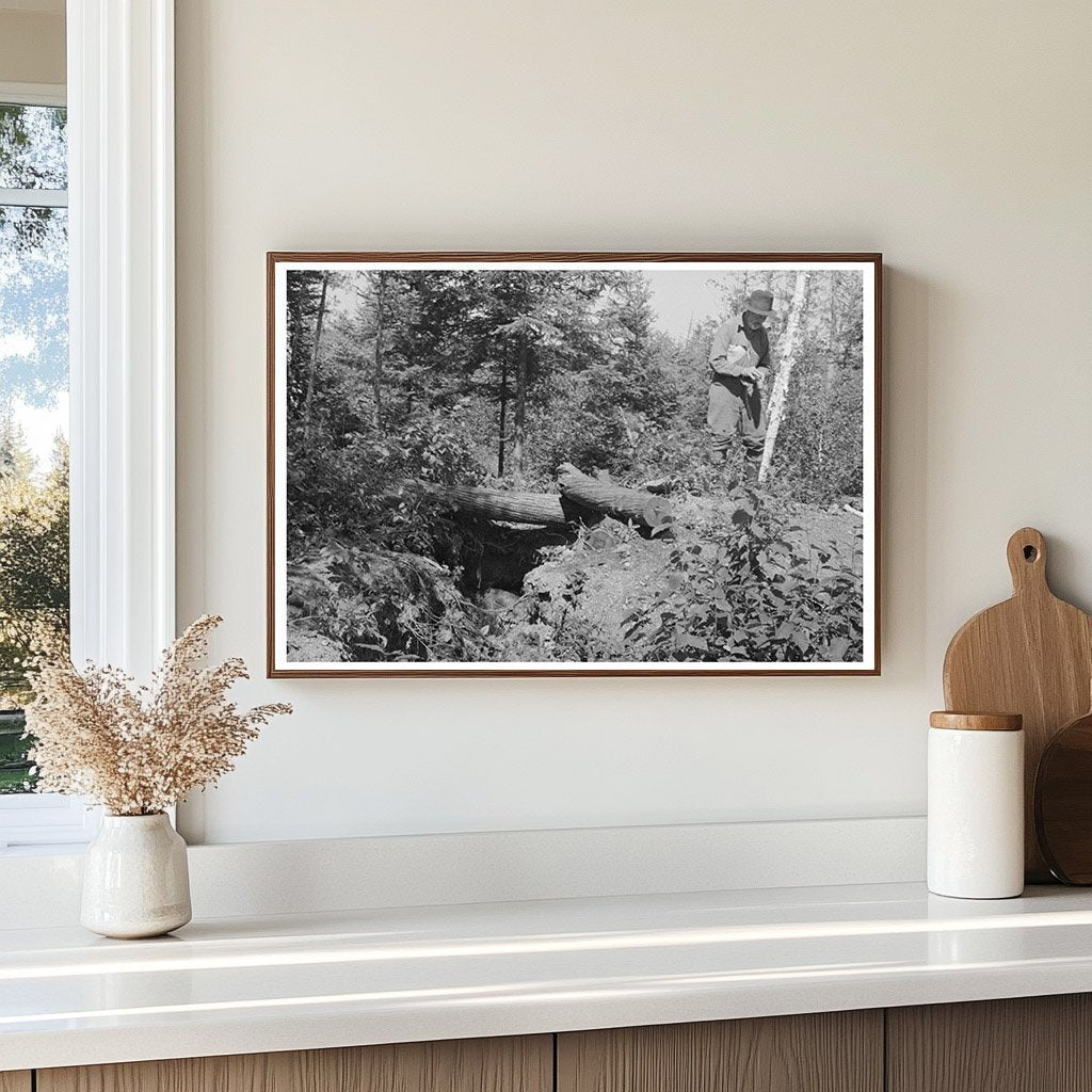 Abandoned Mine Shaft Near Winton Minnesota 1937 - Available at KNOWOL