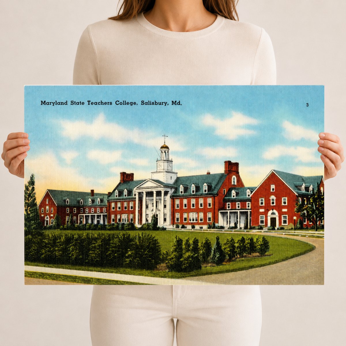 Maryland State Teachers College, Salisbury, MD — Vintage Maryland Postcard