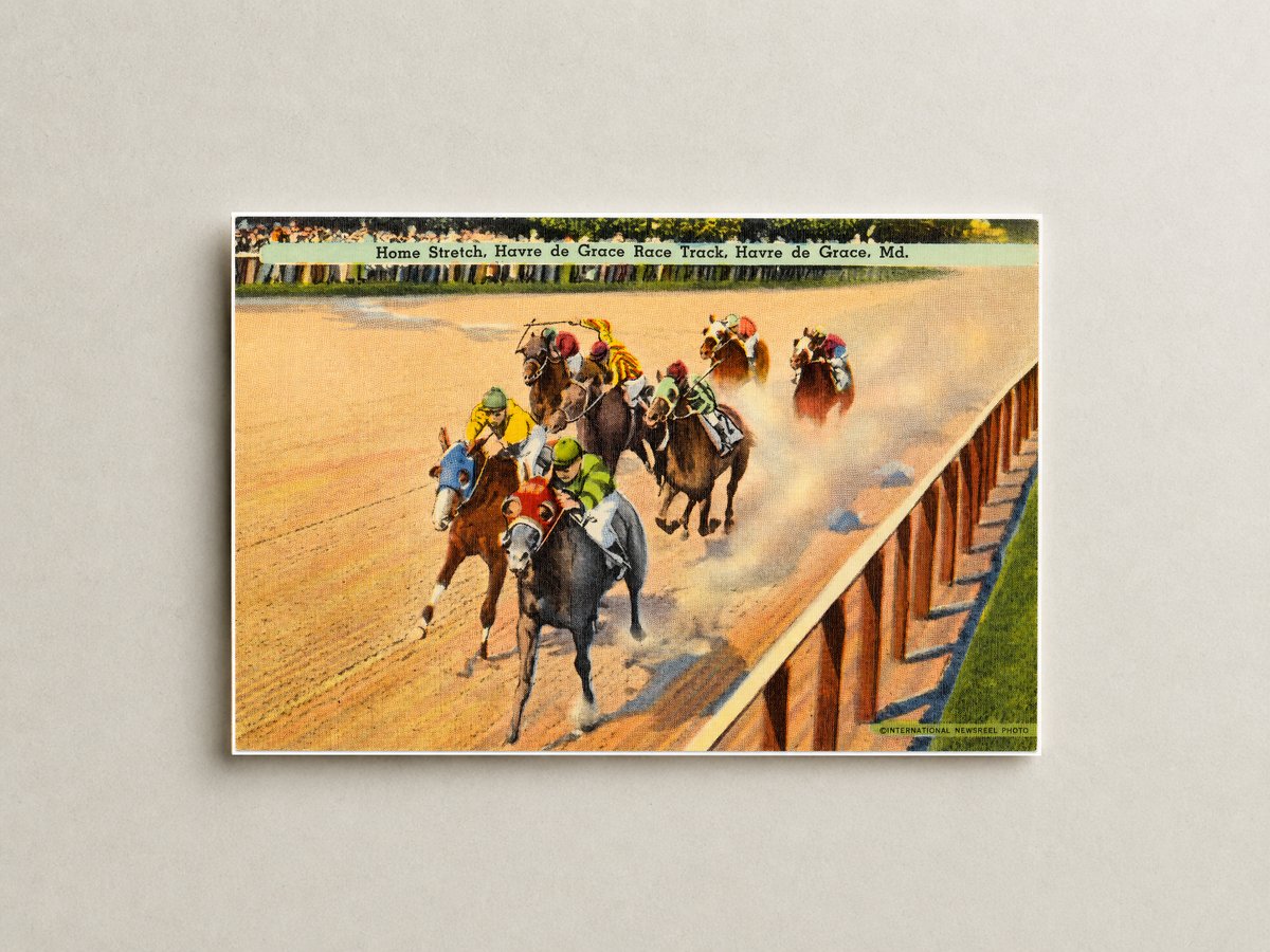 Home stretch, Havre de Grace Race Track, Havre de Grace, MD — Vintage Maryland Postcard