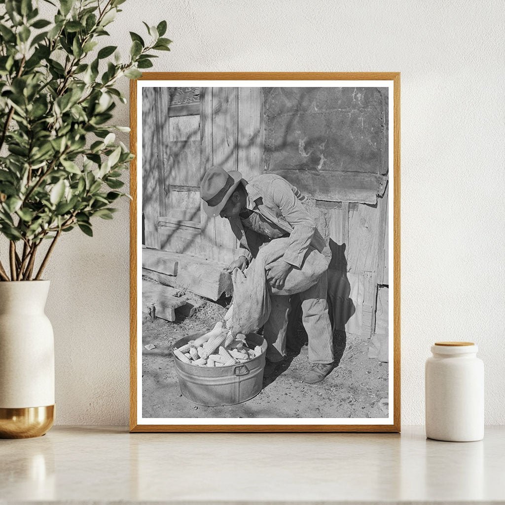 African American Tenant Farmer Selecting Seed Corn 1944 - Available at KNOWOL