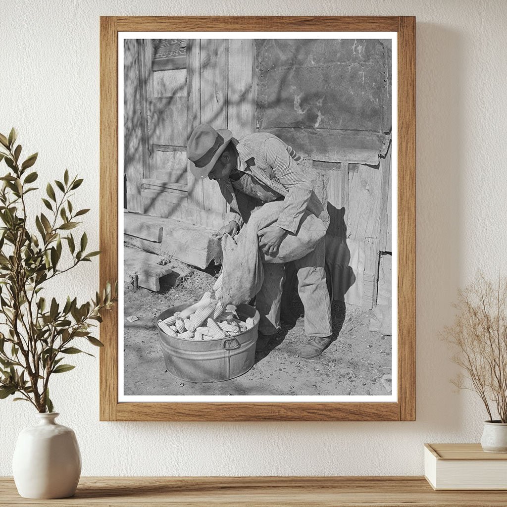 African American Tenant Farmer Selecting Seed Corn 1944 - Available at KNOWOL