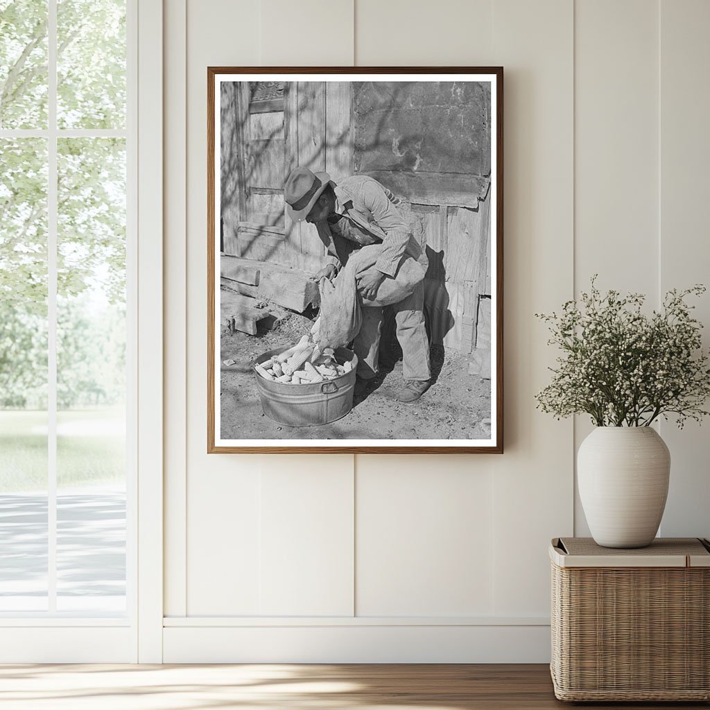 African American Tenant Farmer Selecting Seed Corn 1944 - Available at KNOWOL