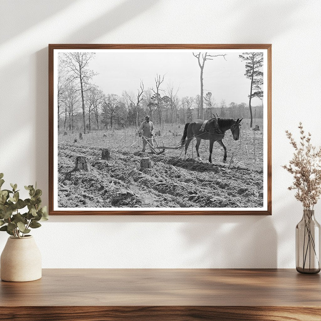 Agricultural Activity in Marshall Texas 1939 - Available at KNOWOL