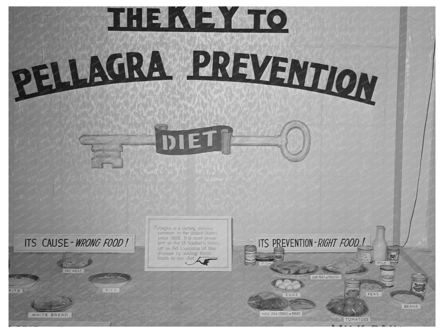 Agricultural Exhibit Poster South Louisiana Fair 1938 - Available at KNOWOL