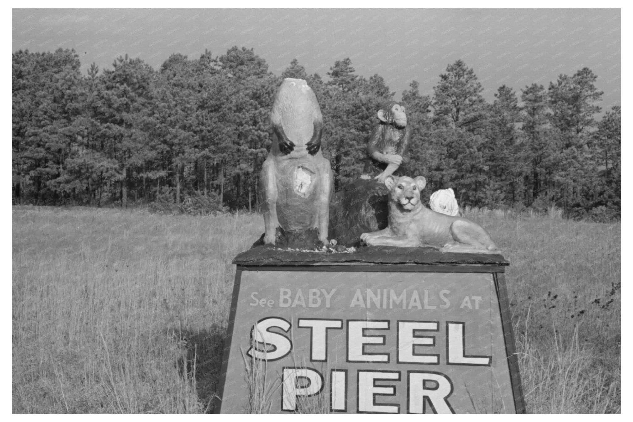 Animal Statues for Menagerie Advertising Atlantic City 1938 - Available at KNOWOL