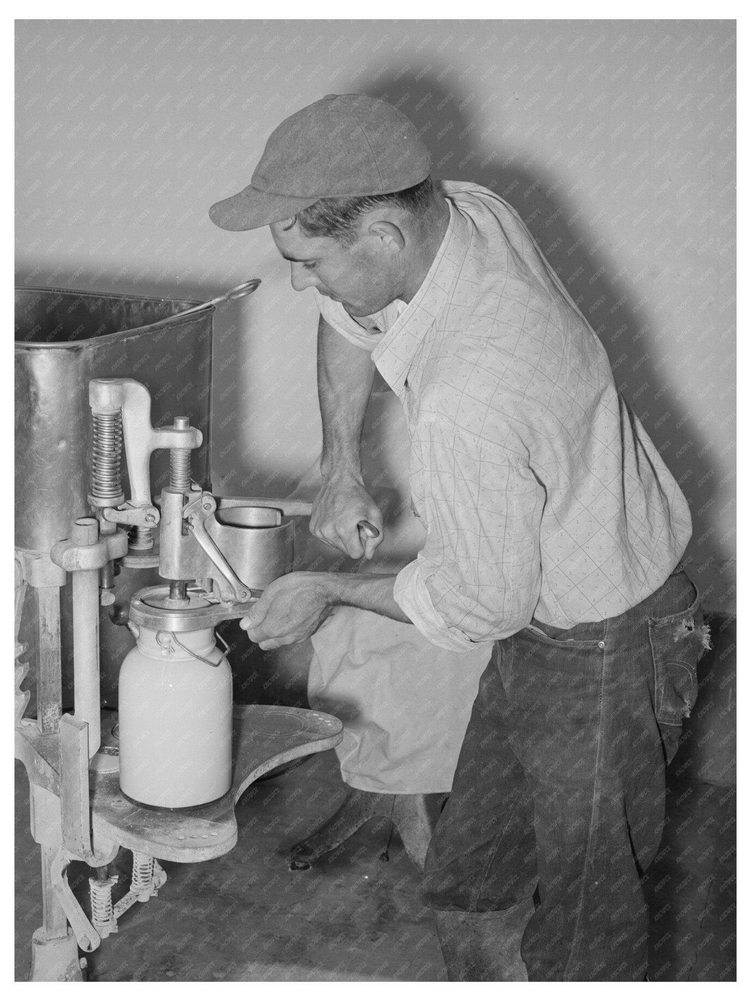Arizona Dairy Farm Milk Bottling May 1940 - Available at KNOWOL