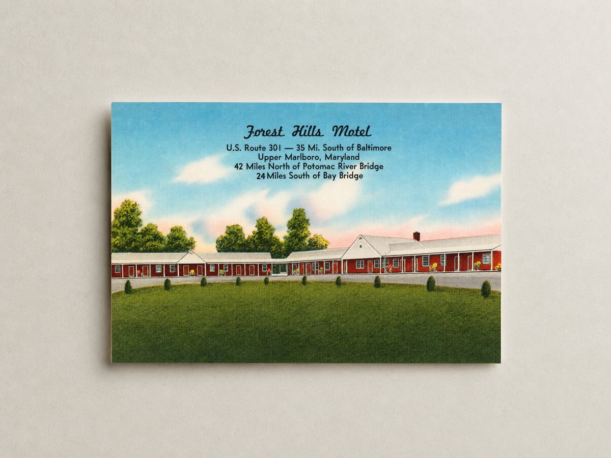 Forest Hill Motel, U.S. Route 301 -- 35 mi. south of Baltimore, Upper Marlboro, Maryland — Vintage Maryland Postcard