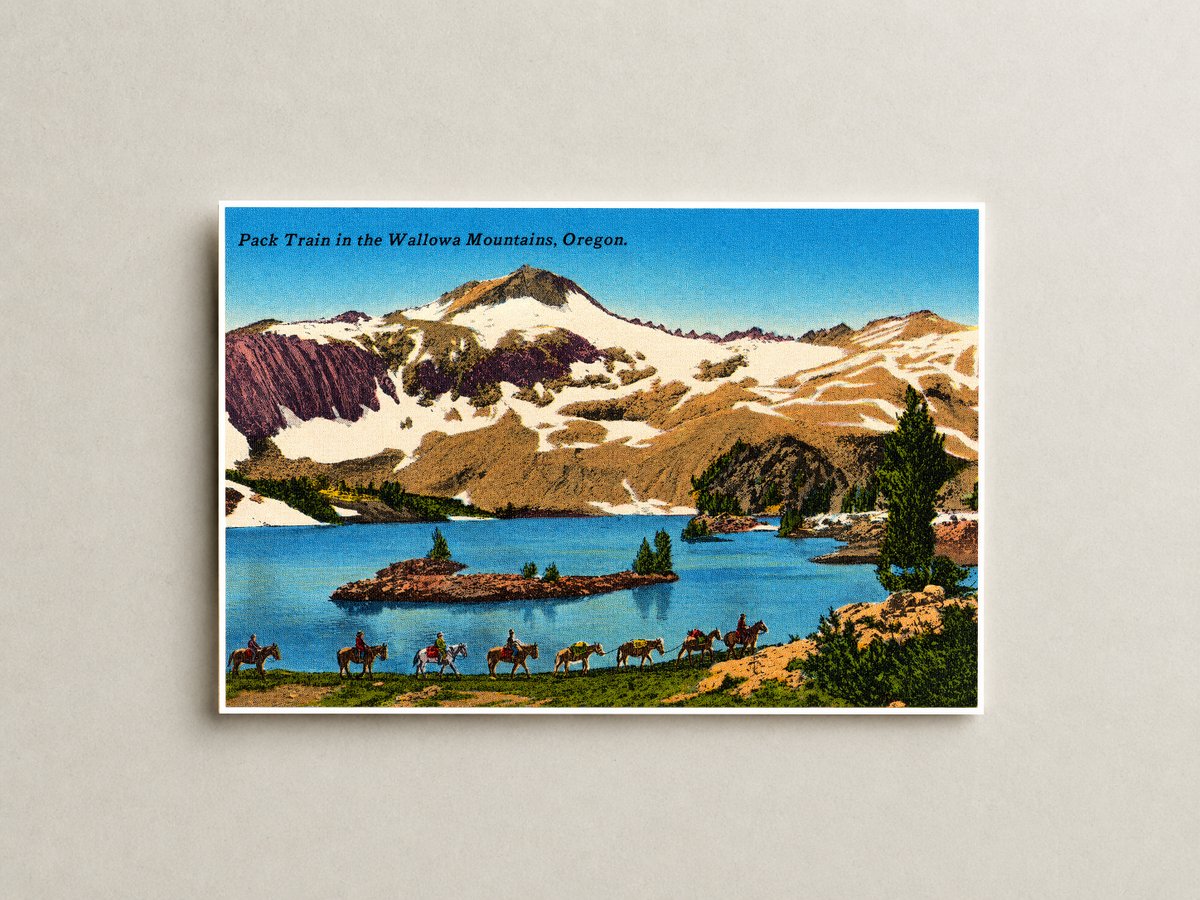 Wallowa Mountains, OR: Pack train in the Wallowa Mountains